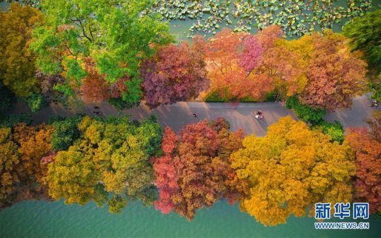 #�������й�����1�����ڽ���