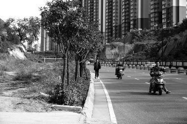 ������������˫������������· Ϊɶû���е�