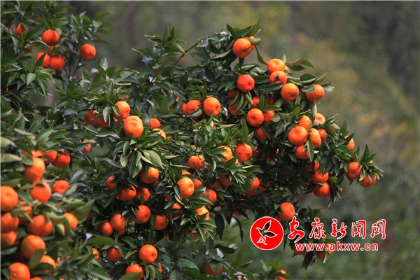 ᰸޴���ӣ����ǳȻ�����ʱ