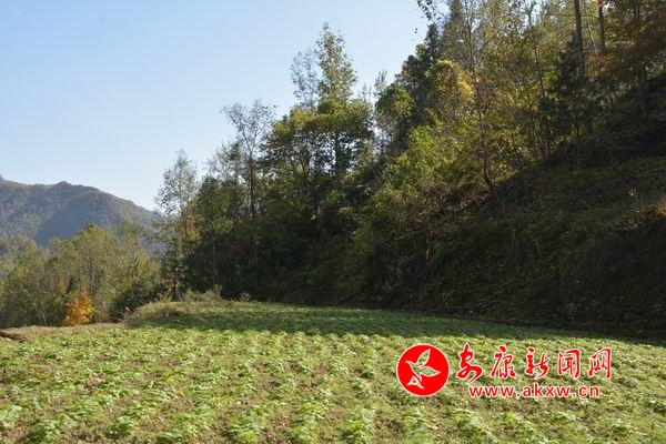 ������С DSC_7051.JPG