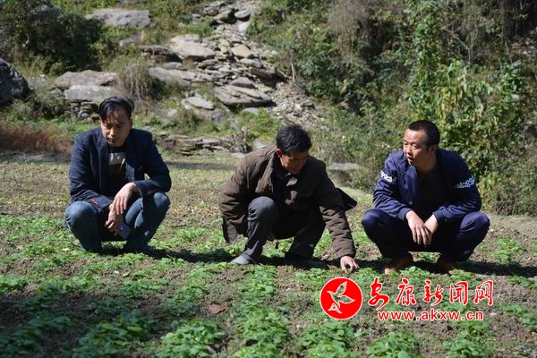 ������С DSC_7076.JPG