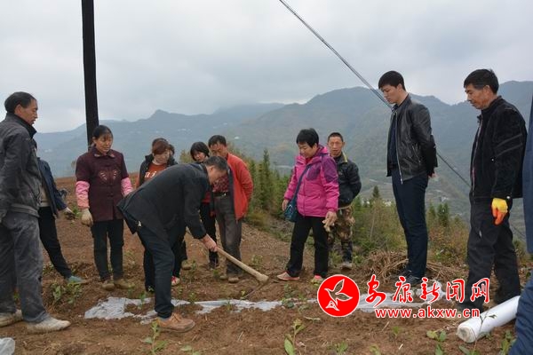 ������С DSC_7395.JPG