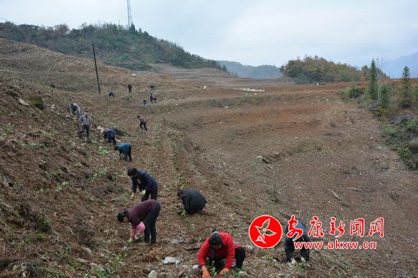 ������С DSC_7360.JPG