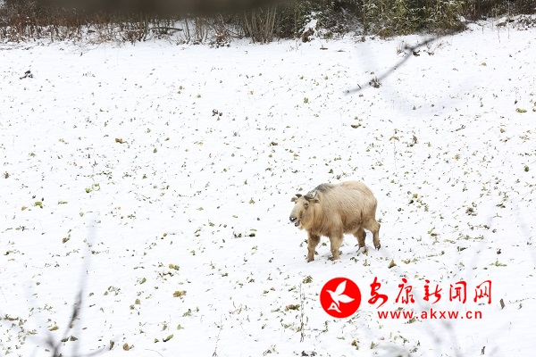΢��ͼƬ_20181208181029.jpg