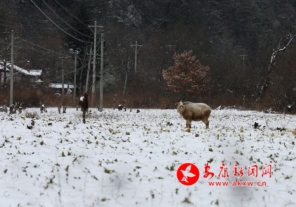 ΢��ͼƬ_20181208181034.jpg
