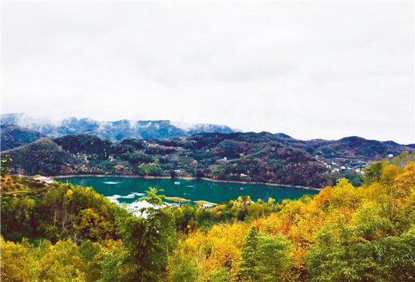 ˮ�л� ���о�