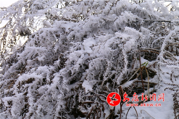 ɲ�Ƿ�����ͼ