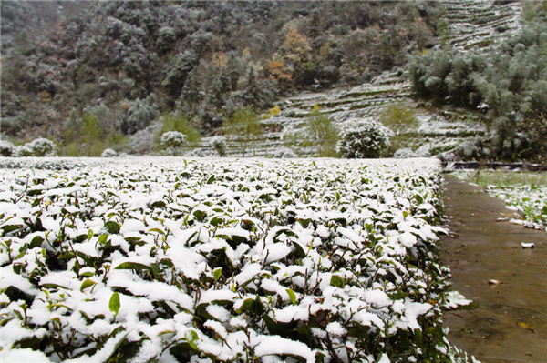 ����������԰����ͼ��