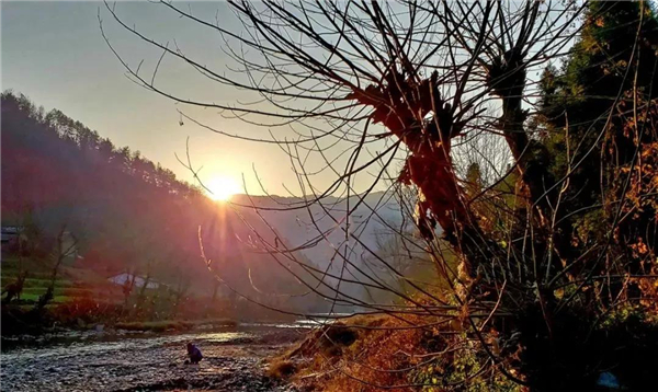 �����е����ض�������ͼ��