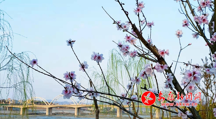 �һ�������������