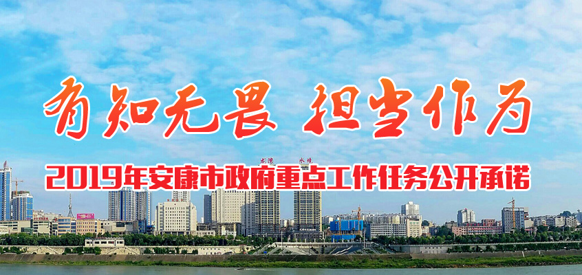 2019����������ŵ