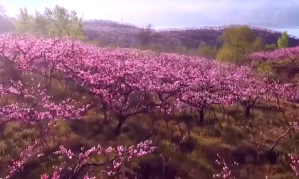 �׺��ص��Ľ��Ļ����ν�