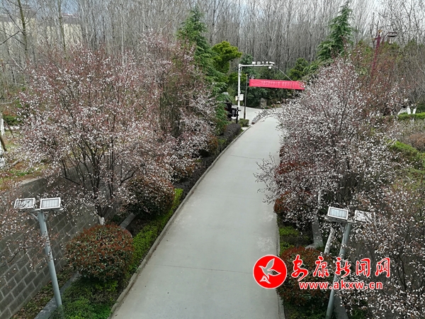 �������ڴ�ů����