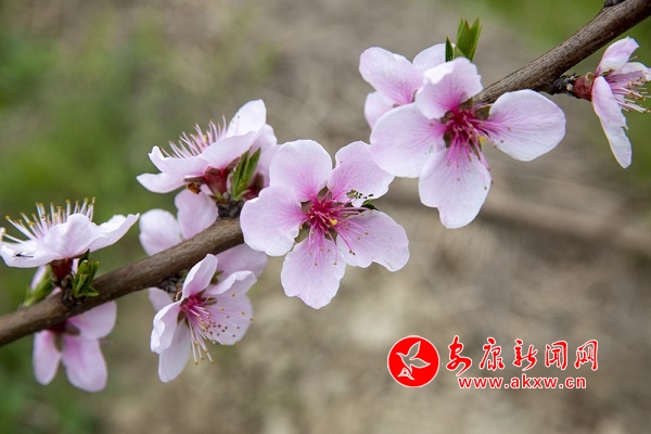 ��Ϫ�������� �羰��߶���