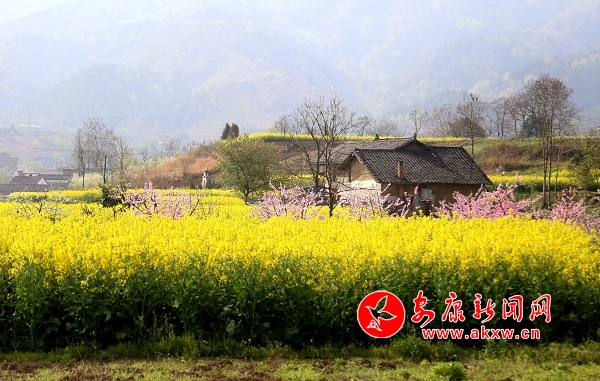 ������������ڴ�����