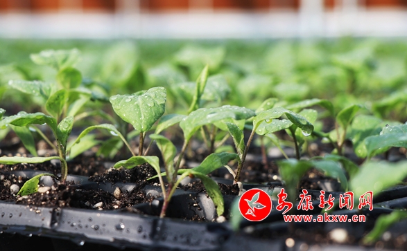 ��������ʱ