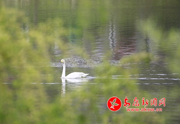 ����ˮ��ô���