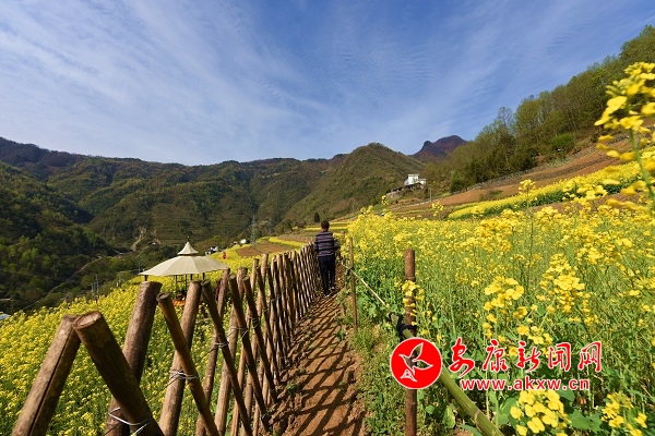 �Ϲ�ɽ���µĽ�ɫ����