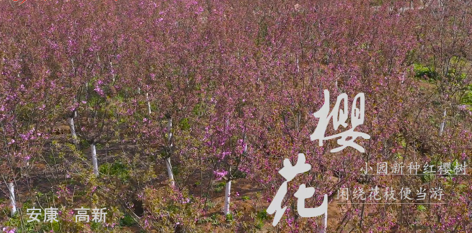 ���������ͻ���