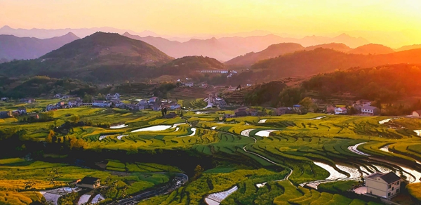 ϼӳ���߹�����