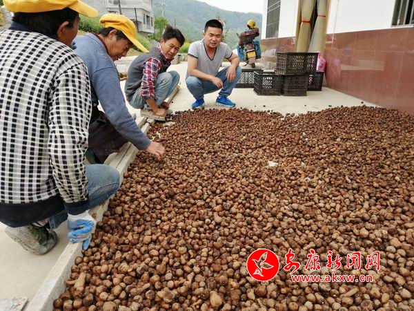 ������С ΢��ͼƬ_20190417105249.jpg