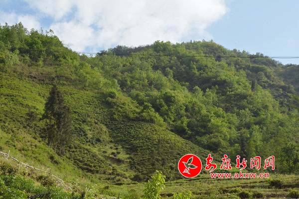 ������С DSC_9602.JPG