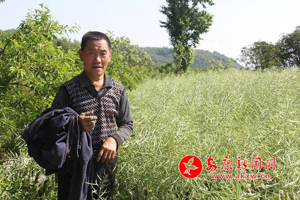 67������ù��������񲻴���������Ͳ�����Ķ����˵��ȥ�����µ�600�ﻹ���š����Ų����������Լ��Ͷ��������ԣ�����̤ʵ