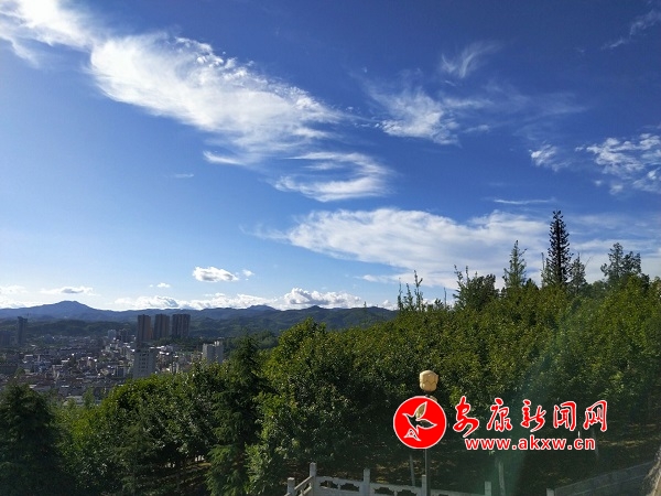 ������ (2).jpg