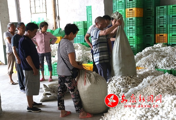 ʯȪ�غӴ����ϼ��չ�����ͻ��4��� ��Ӱ�ι�·.jpg