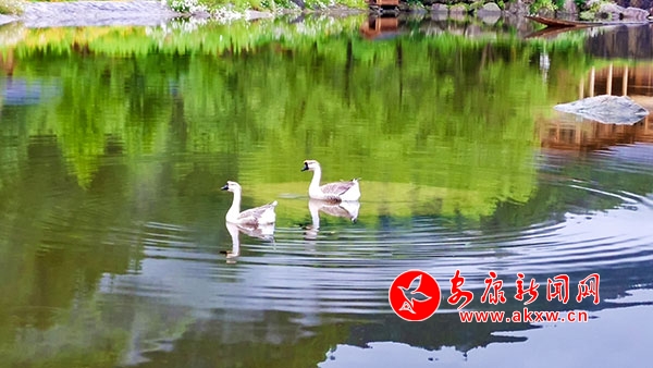 �̶�������ʫ�续