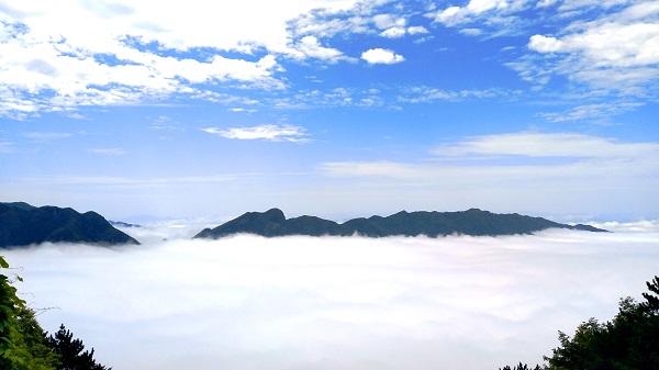 �����ƺ����