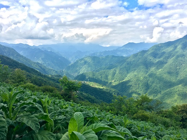 �������Ľ����