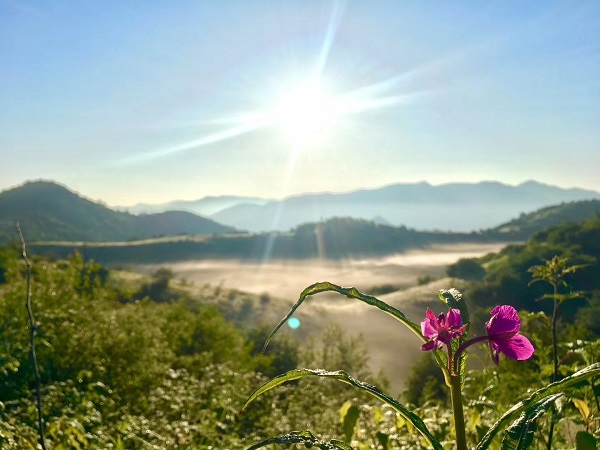 �����ݵ�����