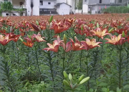 �������׽조�ٺϻ��ڡ���Ļ��