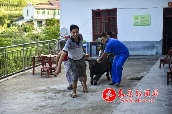 2019.7.28˫������������� 006-1.jpg