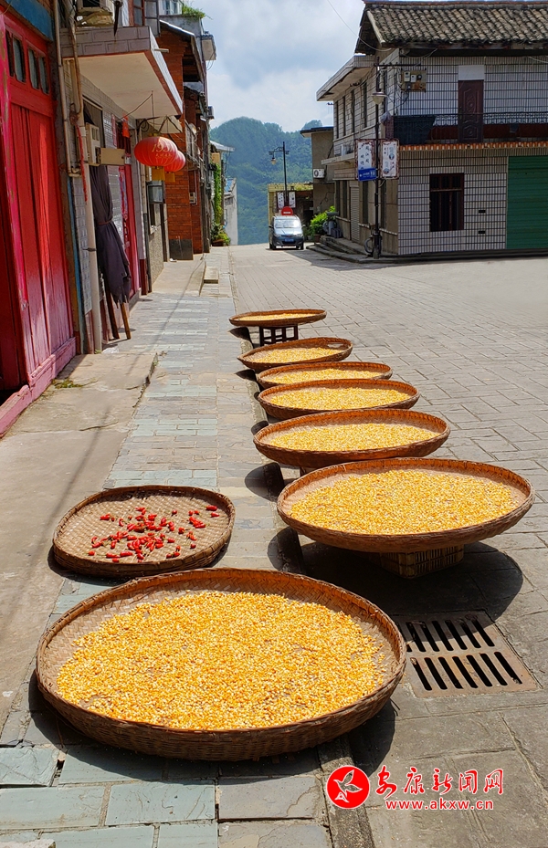 ����&middot;ɹ�� ���ں�������ˮ����.jpg