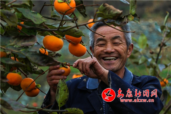 �����ּ����Ӻ�