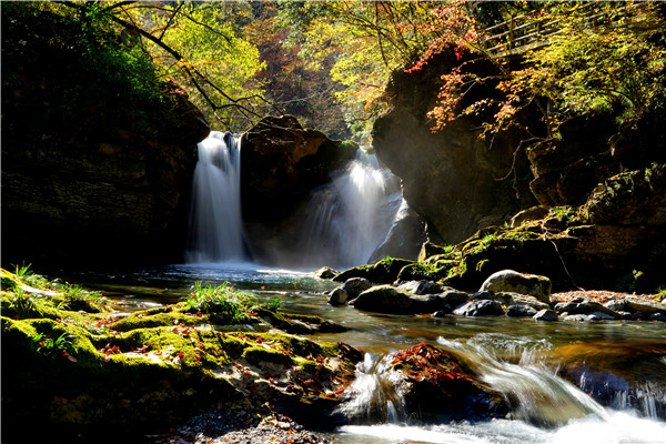 ��Ⱦ᰸�ǧ���