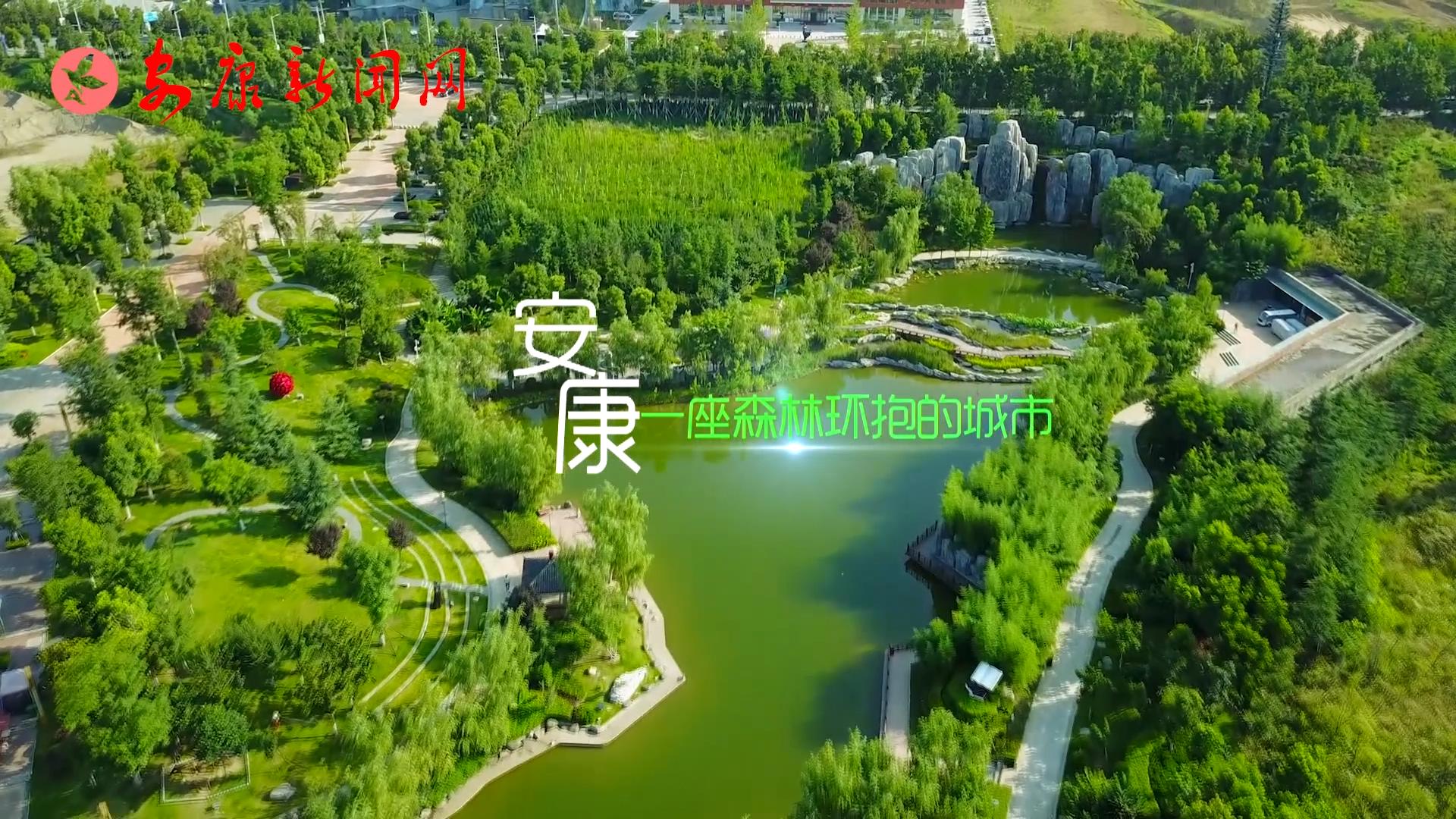 ΢��Ƶ��������������ɭ�ֳ���