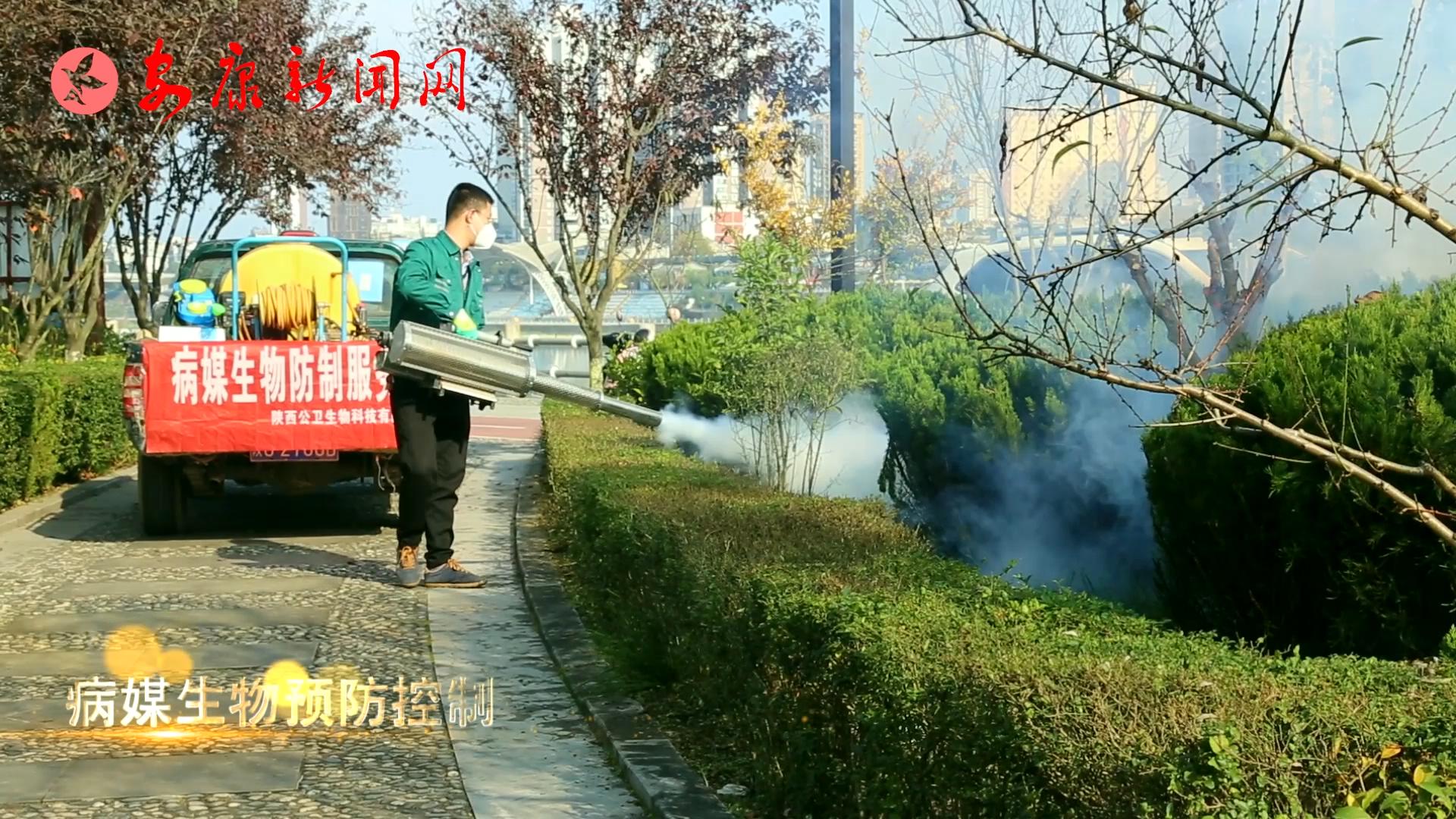 ΢��Ƶ����������������������