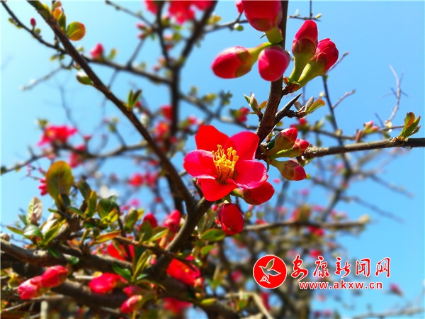 �������ڹ�԰��ů����