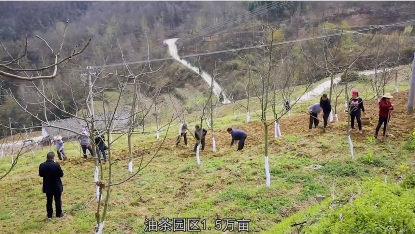 ������԰������������