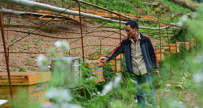 ���ڷ�ƶ������ҵ��չ