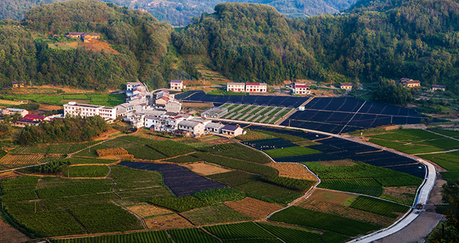 �������̰�����������²�һ�ŷ�������