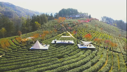 ���������衰�ơ��Ͽ�԰