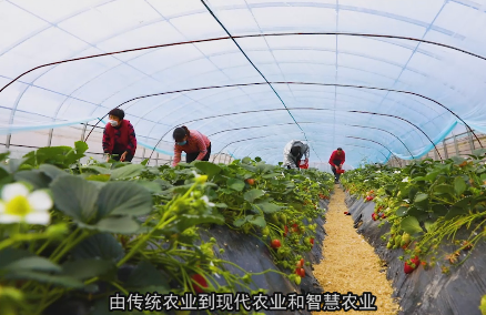 ���ڴ��� ����ר��