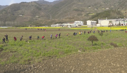 ƽ�����ӣ��Ȼ��조�֡�����