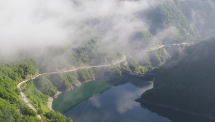 ��ƺ��������ѡ������ɭ����塱