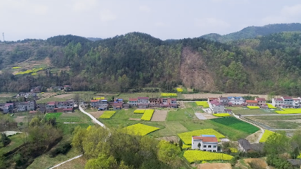 �������������ﻨƮ��