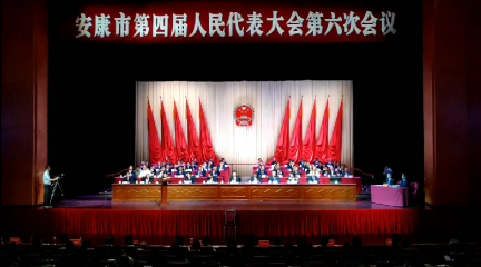 ����ƽ��ѡΪ���˴�ί�ḱ����